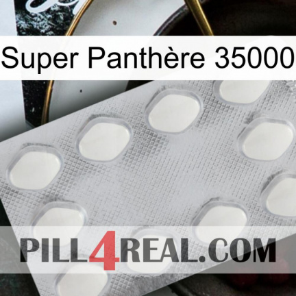 Super Panthère 35000 16